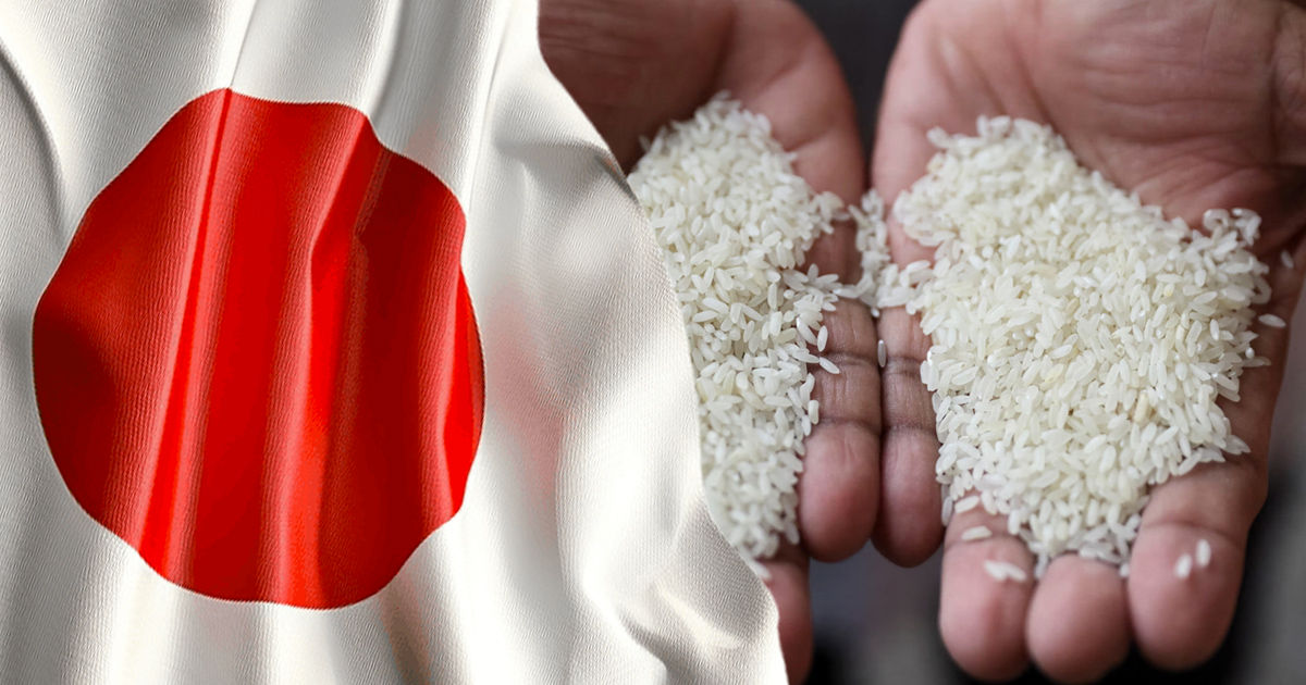 Image of the Japanese flag and Rice
